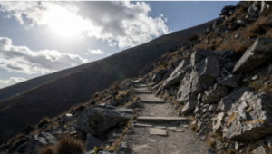 Read more about the article 19 Ways Challenge as a Policy Instrument Drives Impact