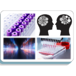 Announcing the Winners of the NIH Replication Prize: Shaping the Future of Rigorous Science