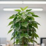 The Ultimate Guide to Scalable Business Growth Strategies